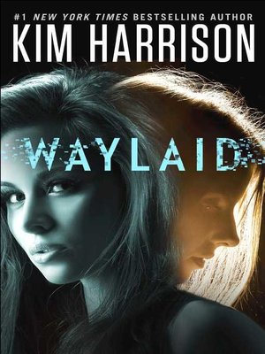 Waylaid - ebook